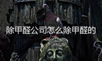除甲醛公司怎么除甲醛的？除甲醛常用技術及其優缺點