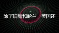 除了嘯鷹和哈蘭，美國還有哪些膜拜酒酒莊？