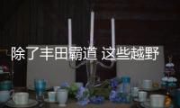 除了豐田霸道 這些越野車同樣很“硬核”