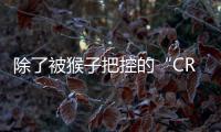 除了被猴子把控的“CRO” 醫藥深陷“微笑曲線”