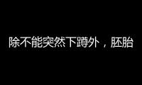 除不能突然下蹲外，胚胎移植后還需要注意這6大事項