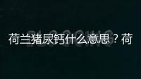 荷蘭豬尿鈣什么意思？荷蘭豬的尿鈣幾天才會好