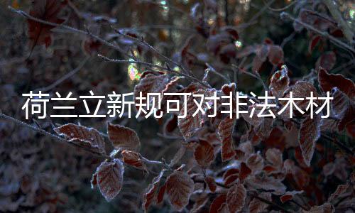 荷蘭立新規可對非法木材貿易商監禁二年或罰款7.9萬歐元