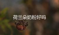 荷蘭朵奶粉好嗎
