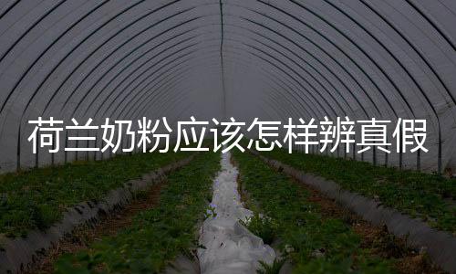 荷蘭奶粉應該怎樣辨真假