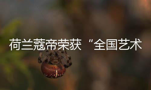 荷蘭蔻帝榮獲“全國藝術涂料行業質量先進品牌”