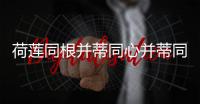 荷蓮同根并蒂同心并蒂同心