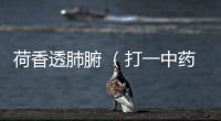 荷香透肺腑 （打一中藥名）