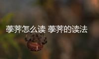 荸薺怎么讀 荸薺的讀法