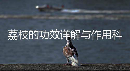 荔枝的功效詳解與作用科普