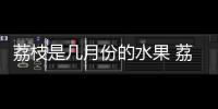 荔枝是幾月份的水果 荔枝是什么季節的水果