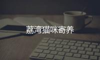 荔灣貓咪寄養