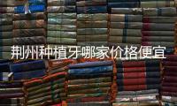 荊州種植牙哪家價格便宜又好？本地人都去這幾家劃算靠譜