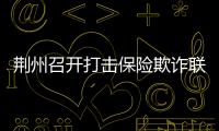 荊州召開打擊保險欺詐聯席會