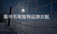 草書毛筆推薦品牌衣服,書寫草書用哪種毛筆最好