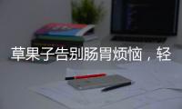 草果子告別腸胃煩惱，輕松享受美食之旅！