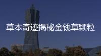 草本奇跡揭秘金錢草顆粒：美膚、強身、禁忌全解析！