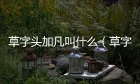 草字頭加凡叫什么（草字頭加凡）