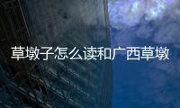 草墩子怎么讀和廣西草墩子的情況說明