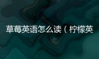 草莓英語怎么讀（檸檬英語怎么讀）