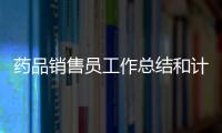 藥品銷售員工作總結和計劃（藥品銷售員工作總結）