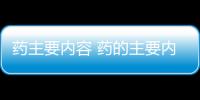 藥主要內(nèi)容 藥的主要內(nèi)容概括
