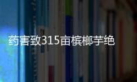 藥害致315畝檳榔芋絕收 消委會為消費者挽回經濟損失57.5萬元