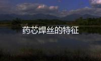 藥芯焊絲的特征