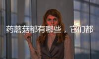 藥蘑菇都有哪些，它們都有什么功效呢？