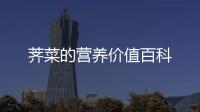 薺菜的營養(yǎng)價值百科