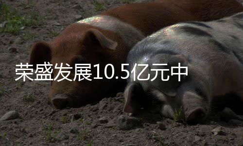 榮盛發展10.5億元中期票據新增信用增進措施
