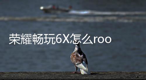 榮耀暢玩6X怎么root？暢玩系列通用root方法