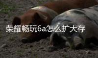 榮耀暢玩6a怎么擴大存儲？ 榮耀暢玩6