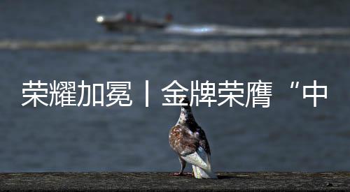 榮耀加冕丨金牌榮膺“中國十大電纜品牌”，匠心鑄就行業輝煌