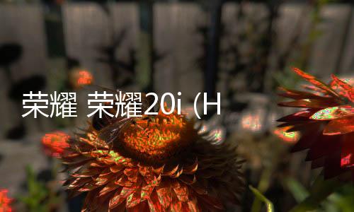 榮耀 榮耀20i (HRY