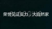 榮譽見證實力，大自然家居連續四年入選“亞洲品牌500強”
