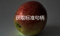 獲取標準句柄
