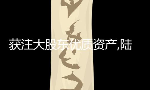 獲注大股東優質資產,陸家嘴復牌漲停