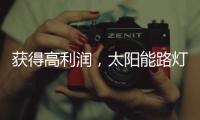 獲得高利潤(rùn)，太陽(yáng)能路燈企業(yè)需要什么商業(yè)技能?