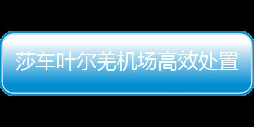 莎車葉爾羌機場高效處置旅客突發暈倒事件 溫情服務獲點贊