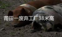 莆田一廢棄工廠38米高廢棄煙囪 長出茂盛榕樹