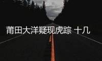 莆田大洋疑現虎蹤 十幾只鴨子神秘死亡