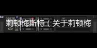 莉頓梅斯特（關于莉頓梅斯特的基本情況說明介紹）