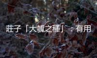 莊子「大瓠之種」：有用無用與人的尊嚴