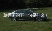 莫等閑的下一句是什么（莫等閑的下一句）