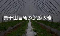 莫干山自駕游旅游攻略 莫干山一日游最佳攻略