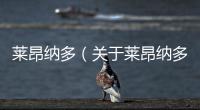 萊昂納多（關于萊昂納多的基本情況說明介紹）