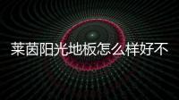 萊茵陽光地板怎么樣好不好（萊茵陽光地板怎么樣）