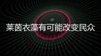 萊茵衣藻有可能改變民眾及醫學界對糖尿病的認知