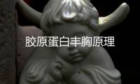 膠原蛋白豐胸原理